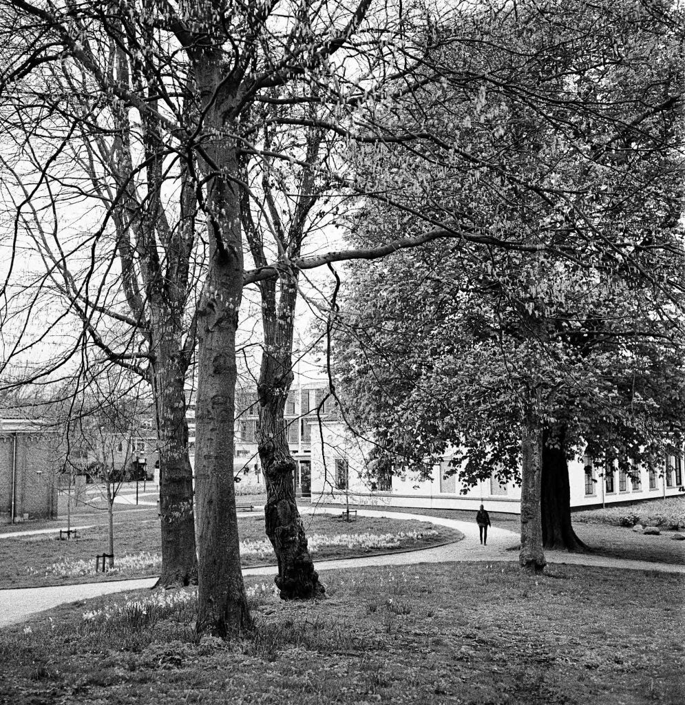 Wandelaar Prinsentuin