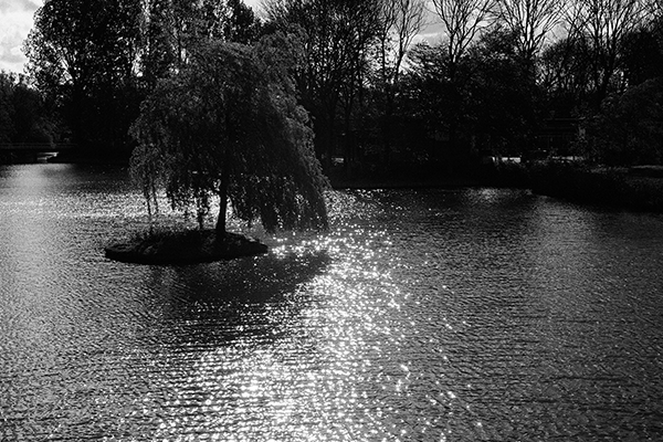 Zwartwit Leeuwarden